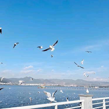 双包胎轩诚👫👫