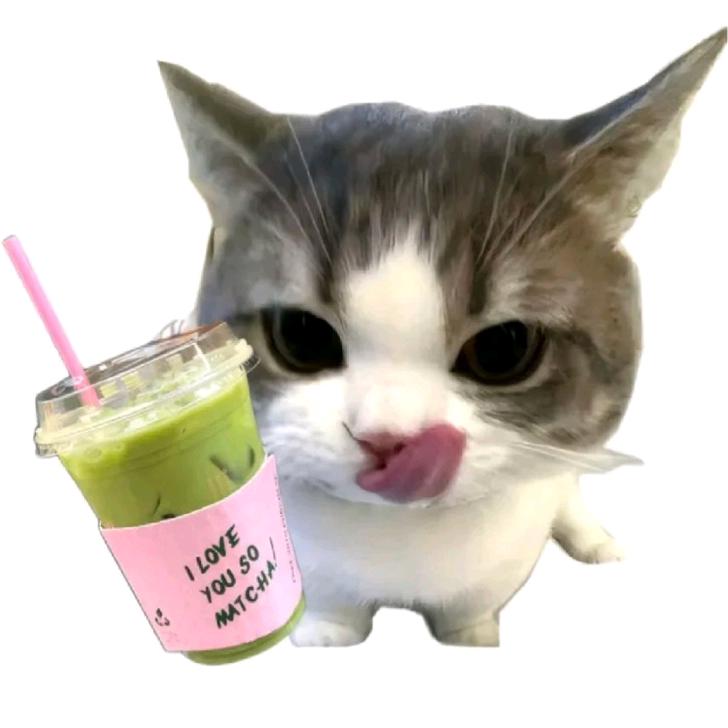 竹仙女不emo