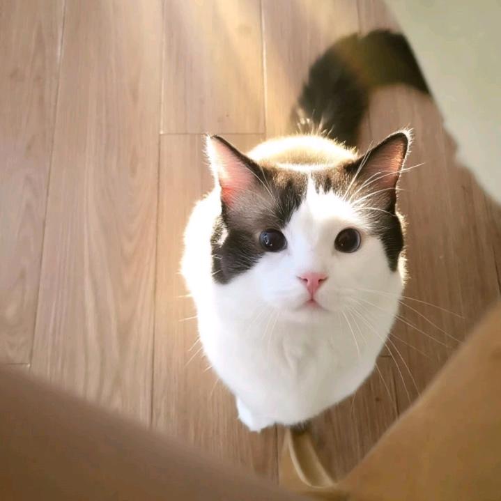❤️莫忘初心❤️
