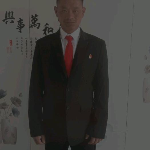 赵氏家族