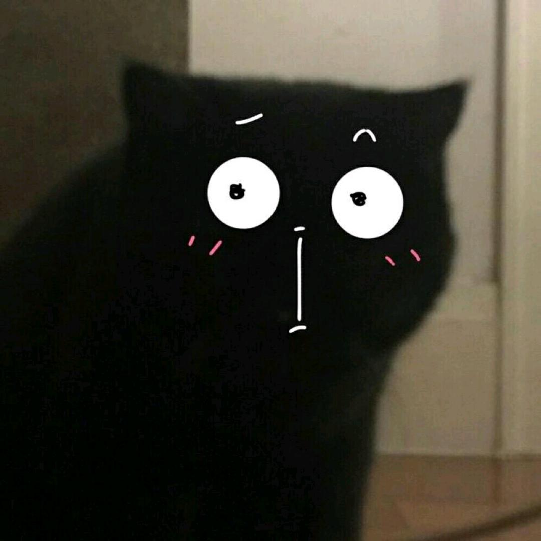 KT头像