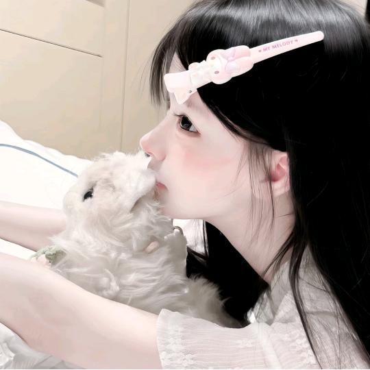 猫咪