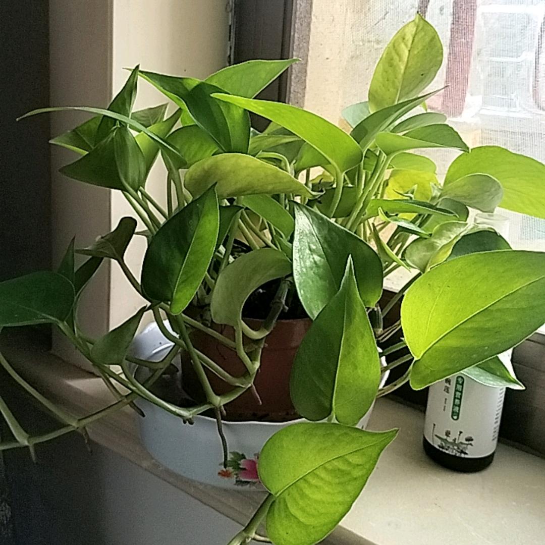 相伴一生🌹