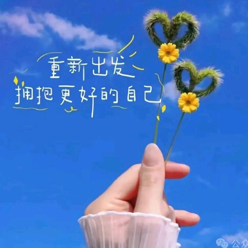 雅琪（努力生活）