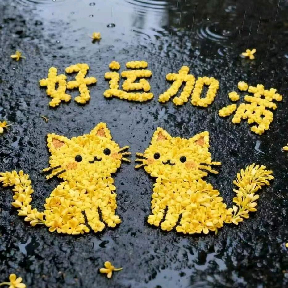 🌸一路生花🌸