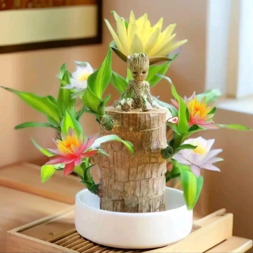 农村优选