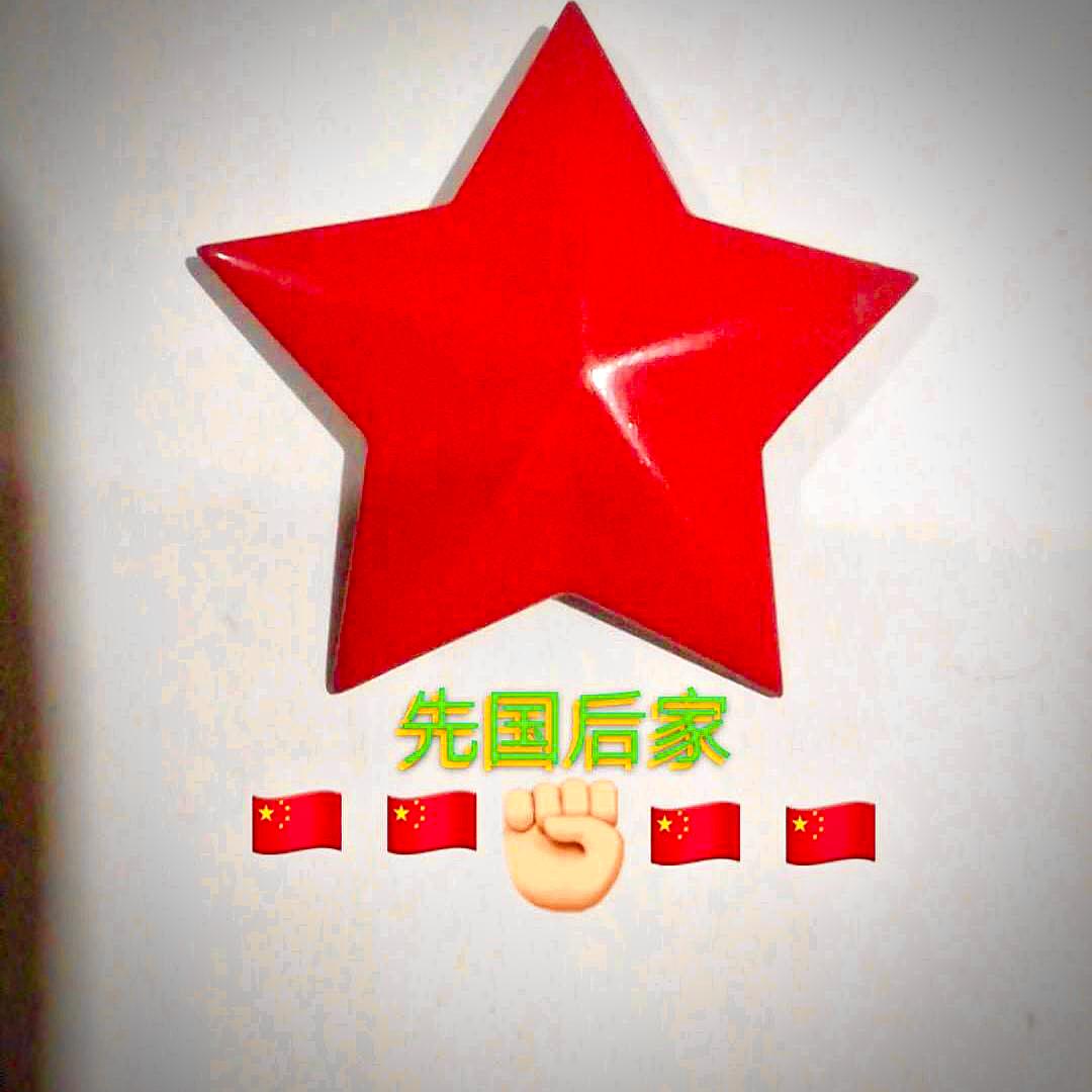 张智