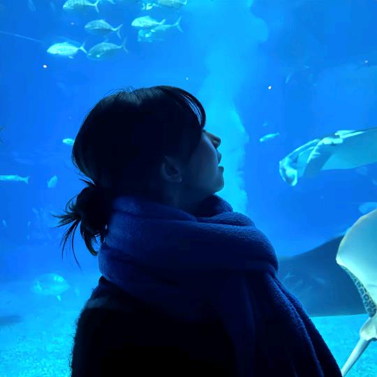 ヾ(❀╹◡╹)ﾉ~