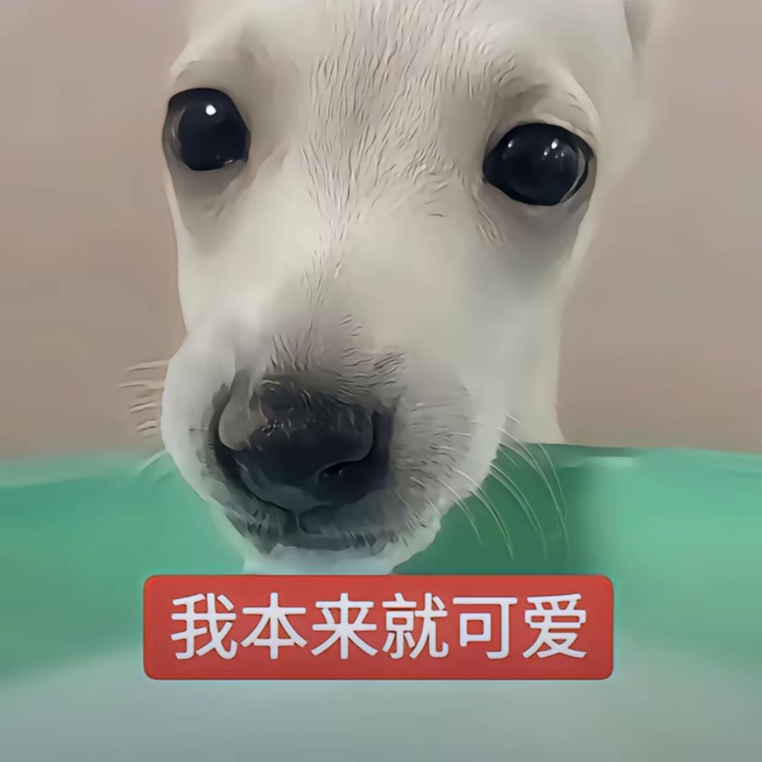用户518197755
