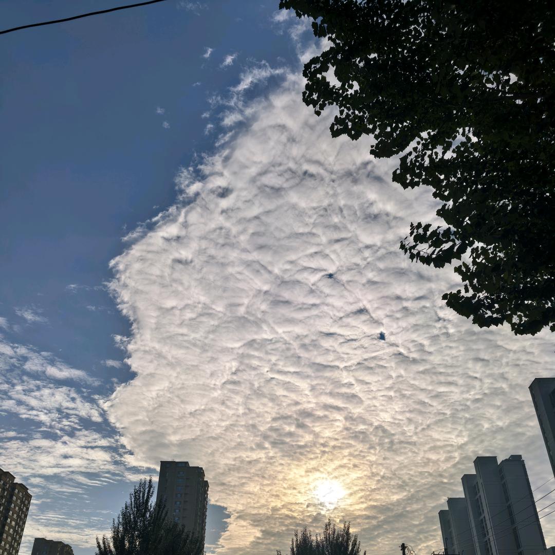 赵