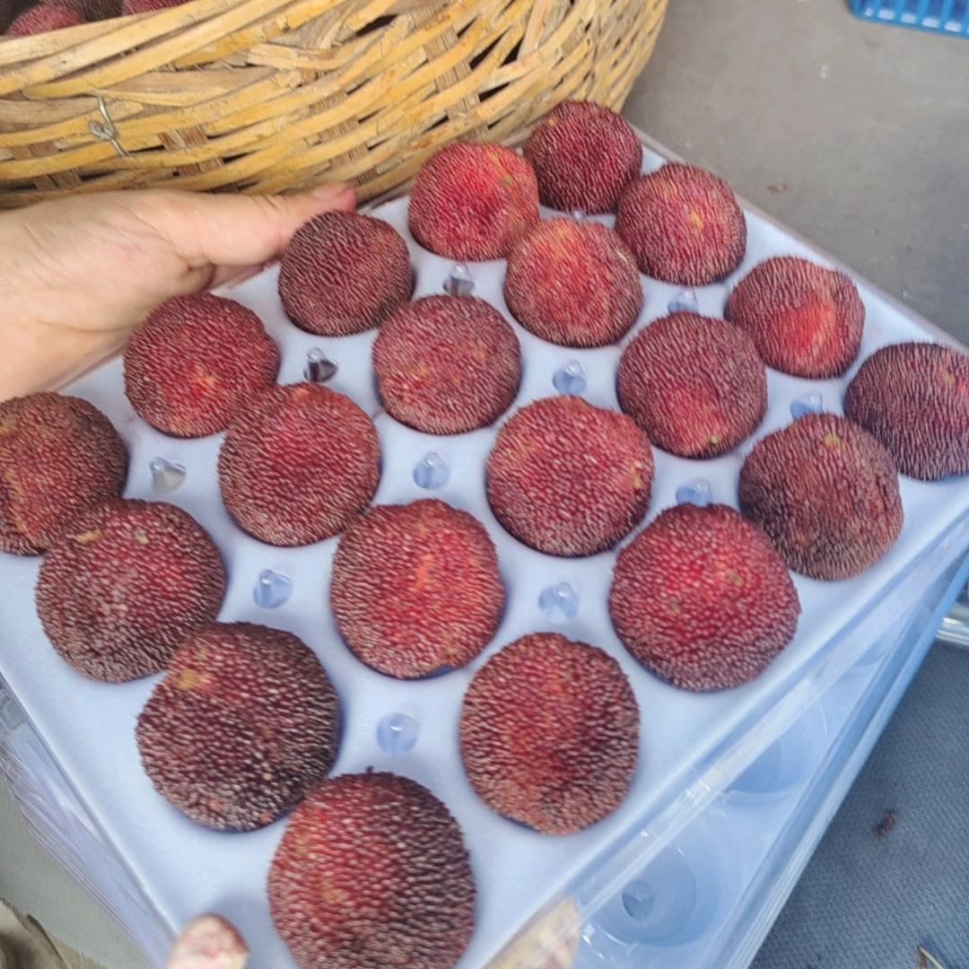 百分之八十，通情达理