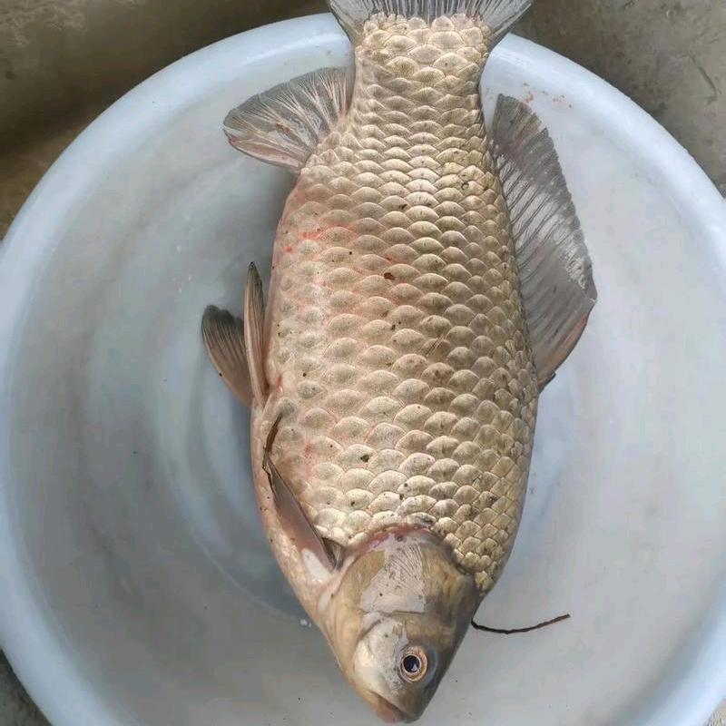 仇人三千又如何，负尽天下又怎样