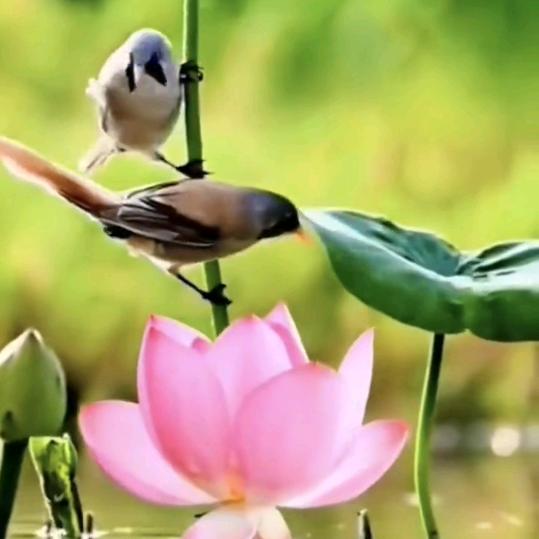 众悦鑫闻