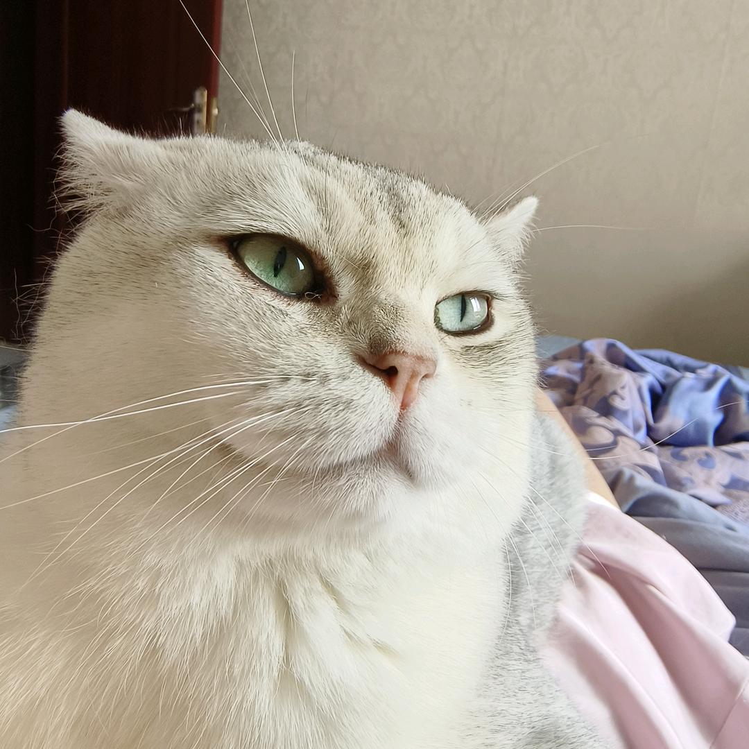 仁妙妙