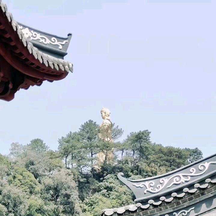 聪¹¹³