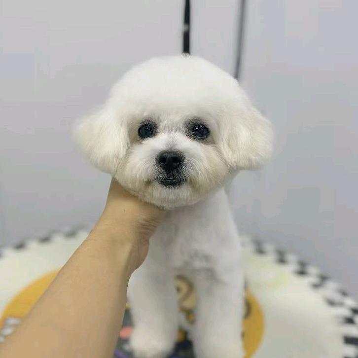 我是胖福吖