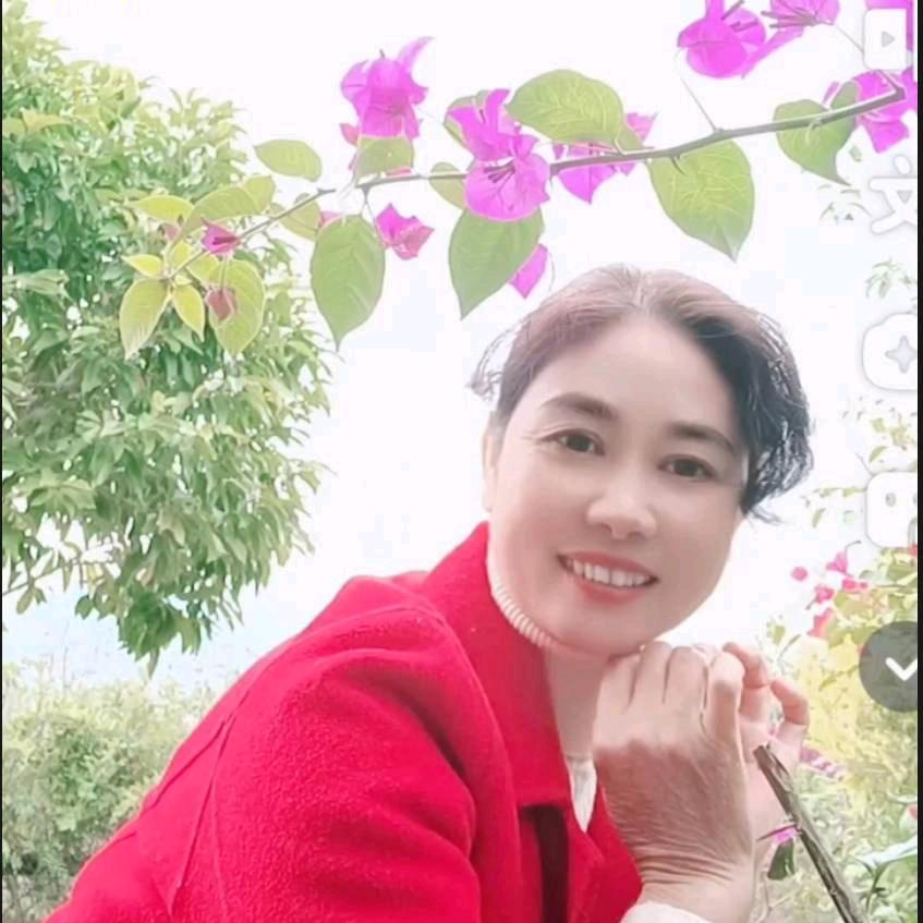 桂姐