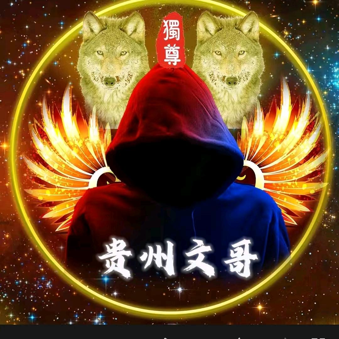 🇨🇳贵州文哥🐯💫
