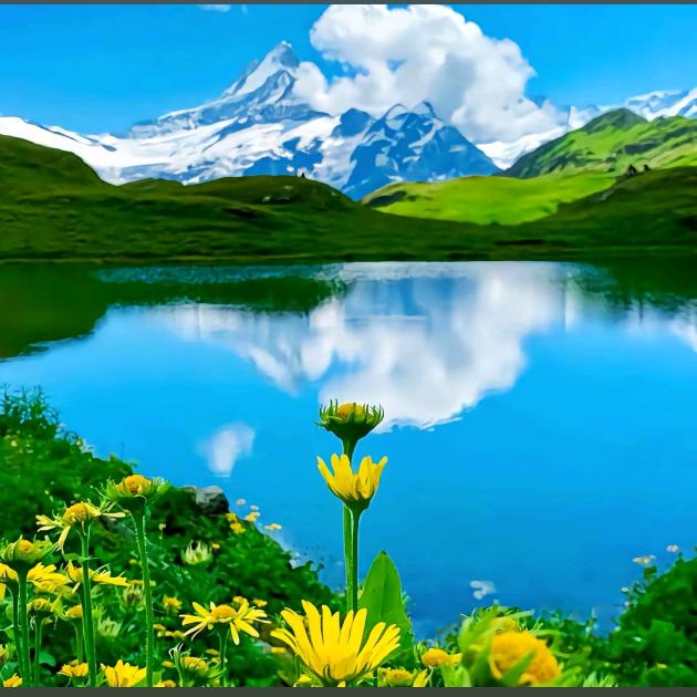 百旺金御（月）