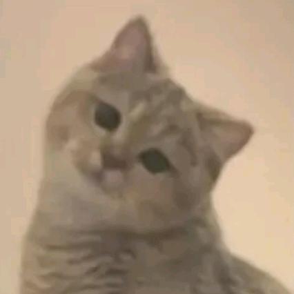 云轻轻（三角洲行动）