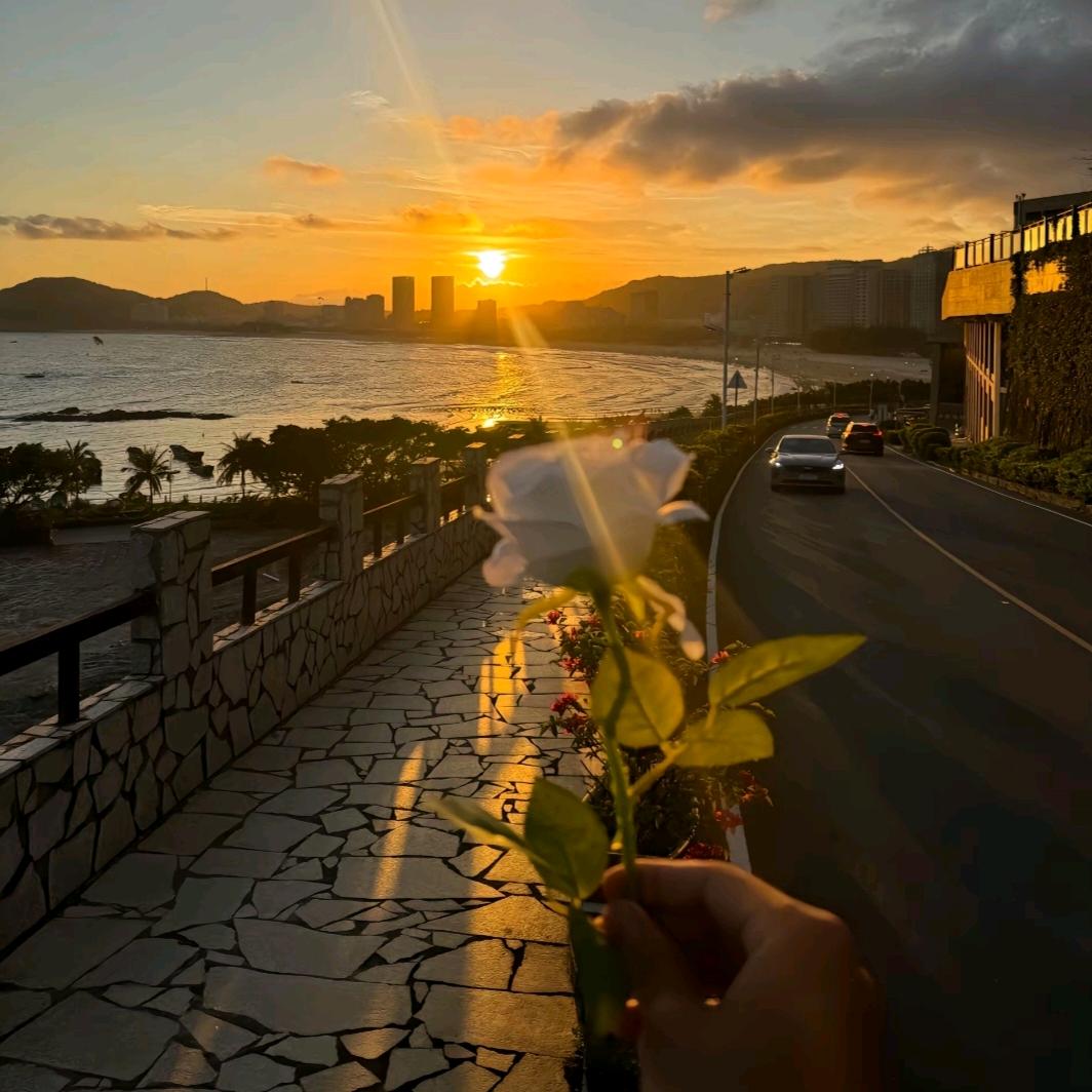 yy阳（上星）