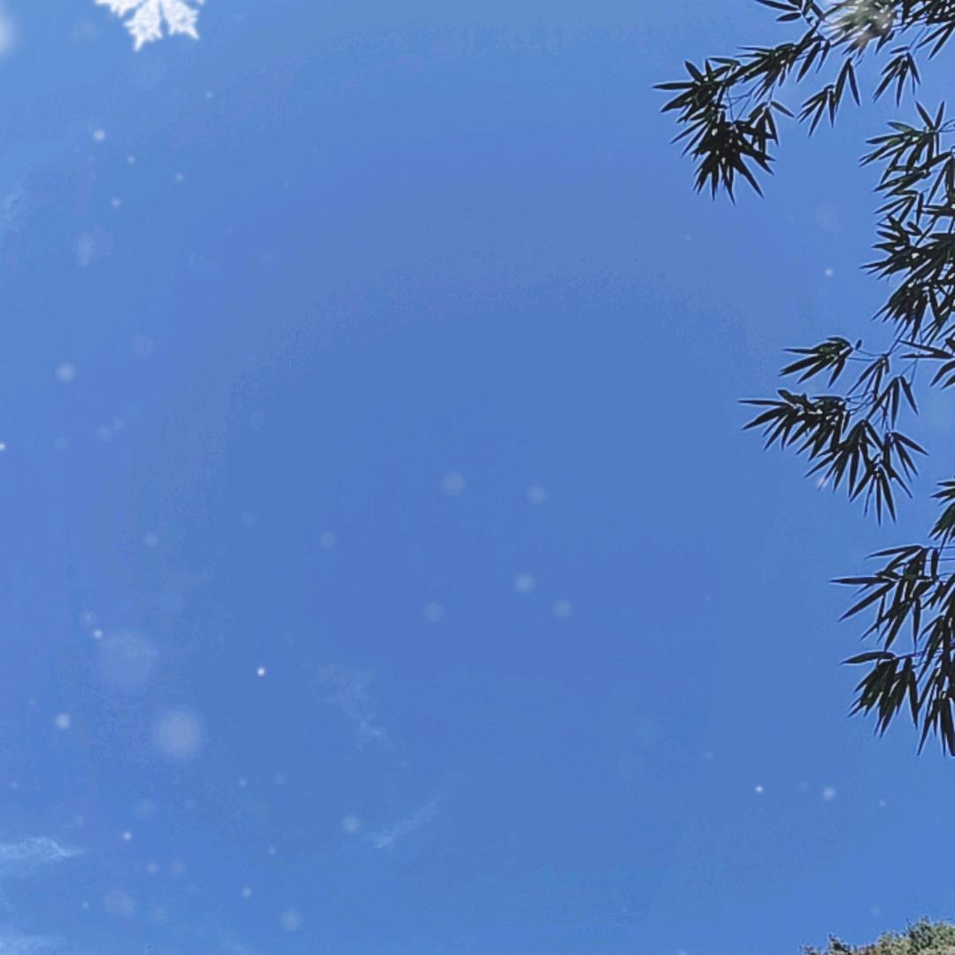 做一个老老实实的农村人