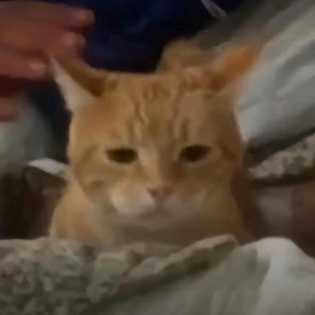 话梅可乐