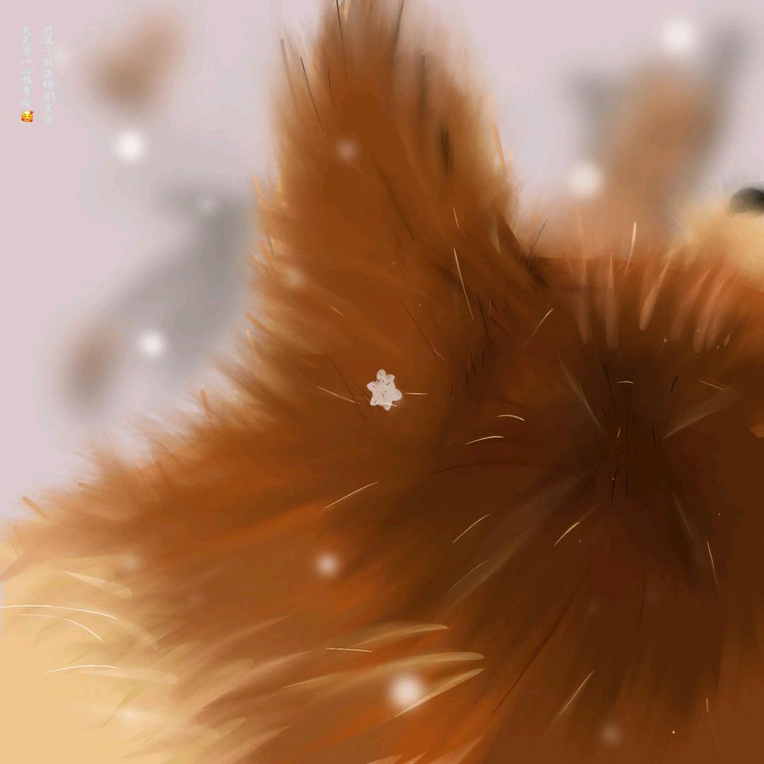 迟桂. ⋆ ☆ ⋆ ★