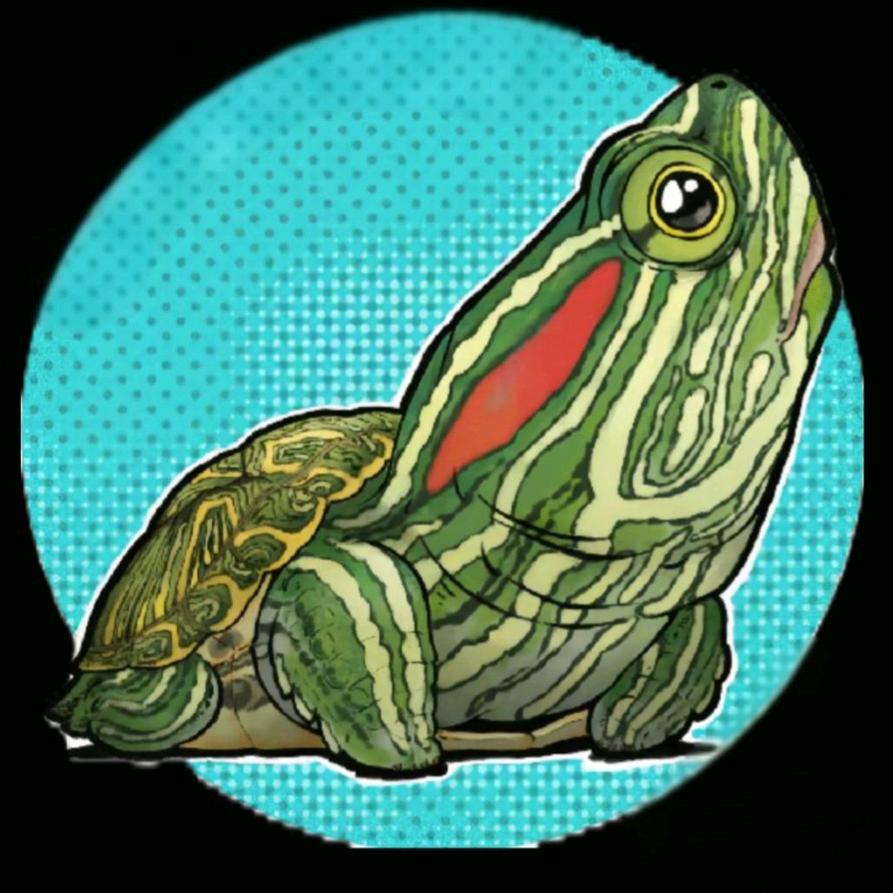 只关于臻臻（养龟版）🐢