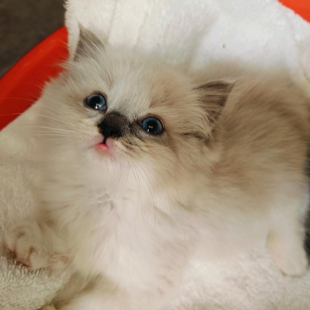 用户456568349196184816