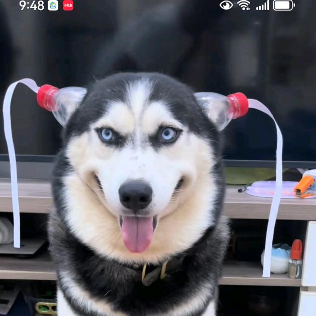 超低价好物推荐官（官旗发货）