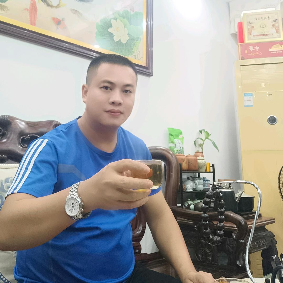 中越翻译官