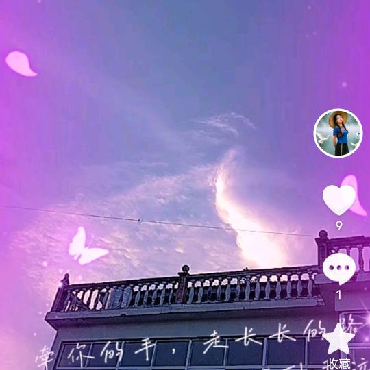 ✨️赵姐！💫