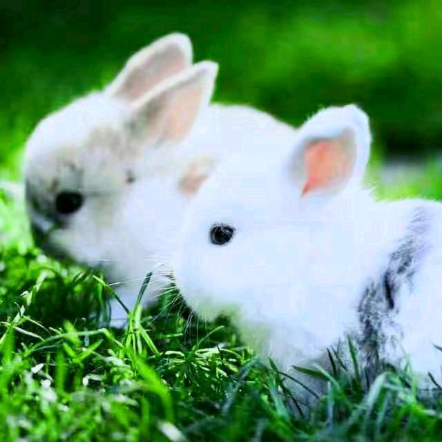 天天开心。！。56421380796