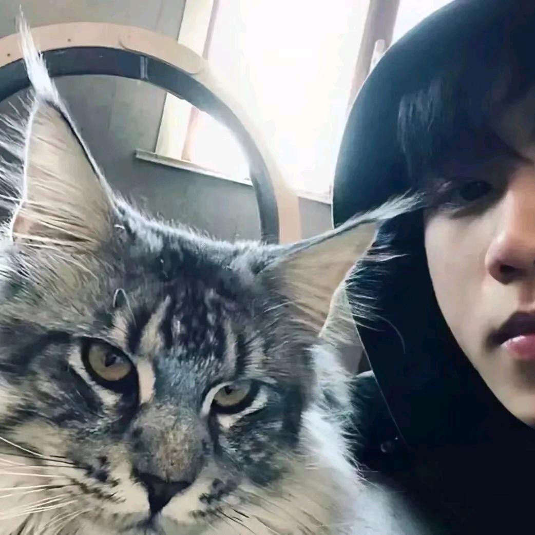 yyx