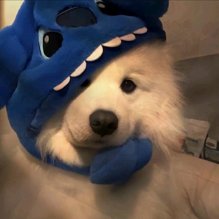 小博阿