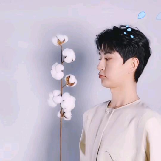 新疆朦胧
