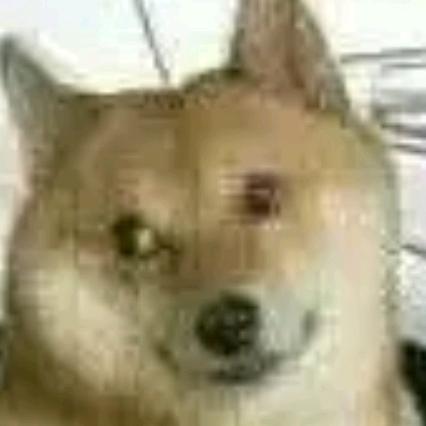 林暝