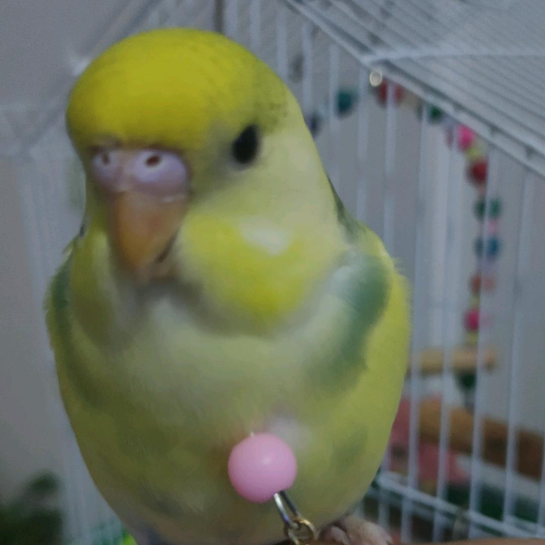 思钱想厚