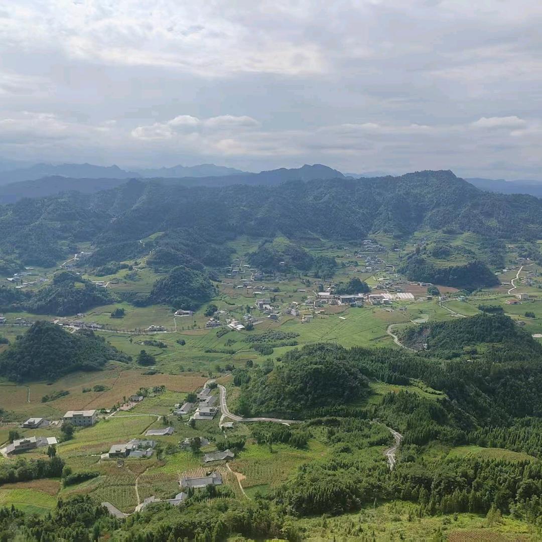 邱家大小姐