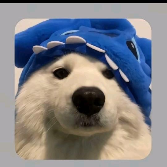 無末