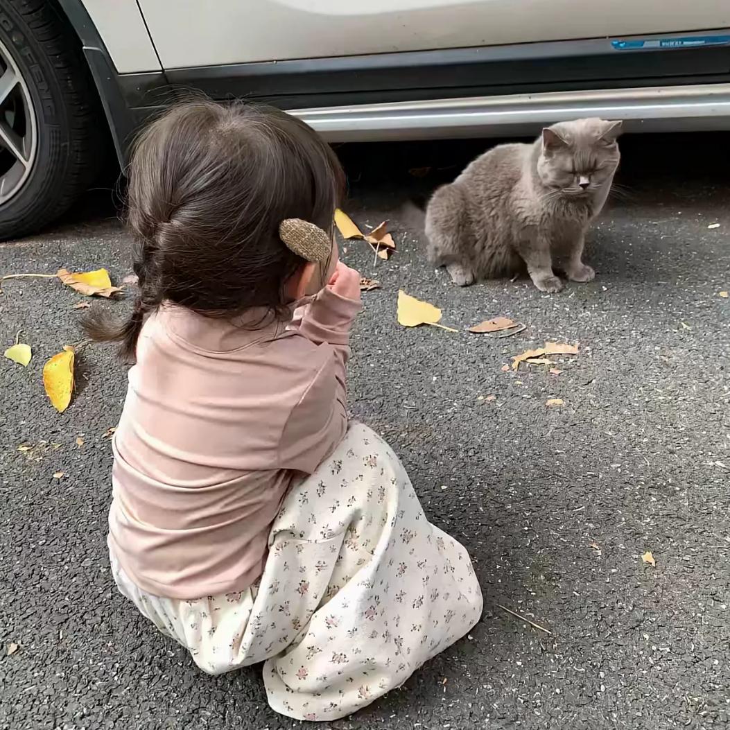 欣子怡.