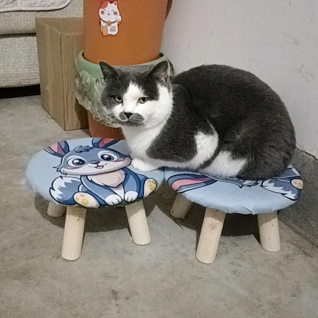 ✨💕ꦿ᭄余生爱✨自己༉ᩚ᭄