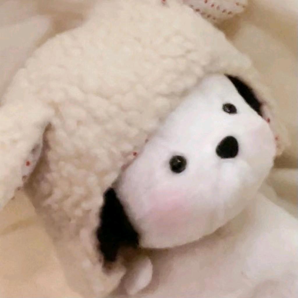 徐羊羊🐑（毕业版）