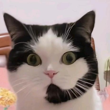 小爷