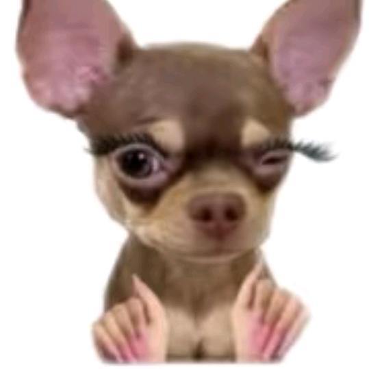 𝗭𝗬𝘂𝗝𝟭𝗲💋