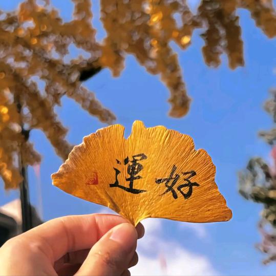 吹吹风