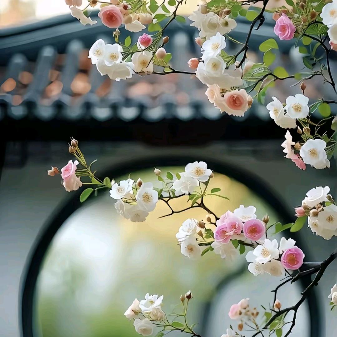 🌻一半浅秋🍁