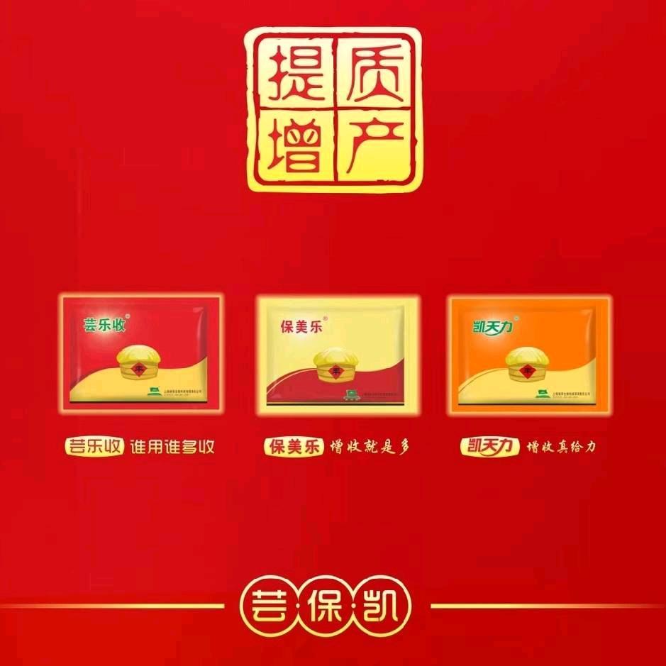 芸保凯