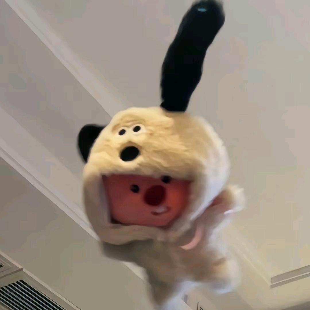 蓝黛荷